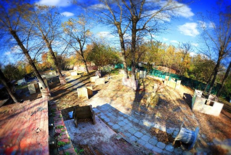 лазер так в батайске