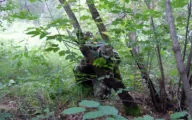 Лазертаг-страйкбол-клуб Бункер 74 в Челябинске