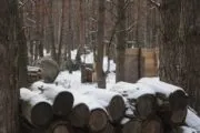 Лазертаг-арчеритаг-клуб Валькирия Пикник-парк в Белгороде