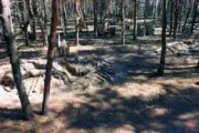 Лазертаг-арчеритаг-клуб Валькирия Пикник-парк в Белгороде