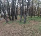 Лазертаг-клуб Полигон-М 