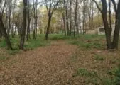 Лазертаг-клуб Полигон-М 