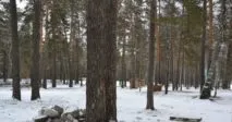 Лазертаг-клуб Полигон-22 