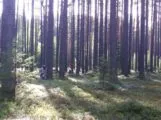 Лазертаг-клуб Контр-Страйк 