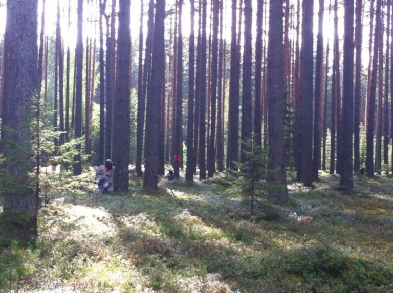 лазер так в петрозаводске. Смотреть фото лазер так в петрозаводске. Смотреть картинку лазер так в петрозаводске. Картинка про лазер так в петрозаводске. Фото лазер так в петрозаводске