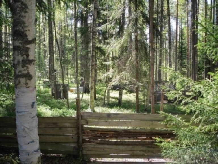 лазер так в петрозаводске. Смотреть фото лазер так в петрозаводске. Смотреть картинку лазер так в петрозаводске. Картинка про лазер так в петрозаводске. Фото лазер так в петрозаводске