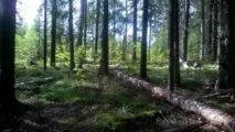 Лазертаг-клуб Контр-Страйк 