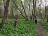 Лазертаг-клуб Laserwars 