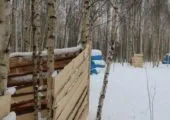 Лазертаг-клуб Форс 