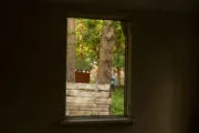 Лазертаг-клуб Гагарино в Дзержинске