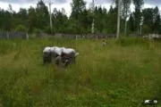 Лазертаг-клуб Полигон 59 