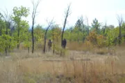 Лазертаг-клуб Гепард 