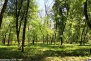 Лазертаг-клуб 7.62 