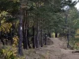 Гвардия «Голубой карьер»