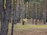Лазертаг-клуб Гвардия 