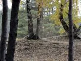 Лазертаг-клуб Гвардия 