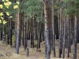 Лазертаг-клуб Гвардия 