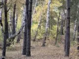 Лазертаг-клуб Гвардия 