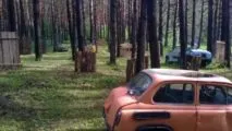 Лазертаг-клуб Альфа 