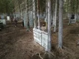 Лазертаг клуб КалашникOOF в Сывтывкаре