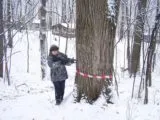 Лазертаг-клуб Черпак в Чебоксарах