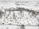 Лазертаг клуб Легион в Смоленске