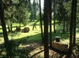 Лазертаг-клуб Тактика 43 