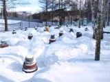 Лазертаг-клуб Пиранья 