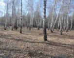 Лазертаг-клуб Пиранья 