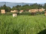 Лазертаг-клуб Веселый Роджер 