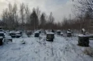 Лазертаг-клуб Багратион 