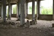 Лазертаг-клуб 