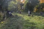 Лазертаг-клуб Зарница 