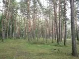 Лазертаг-клуб Спец 