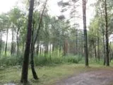 Лазертаг-клуб Спец 