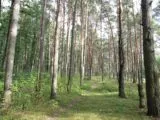 Лазертаг-клуб Спец 