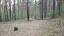 Лазертаг-клуб АК-74М 