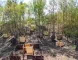 Пейнтбольный клуб Кубеково в Красноярске