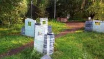 Пейнтбольный клуб Аркона в Кемерово