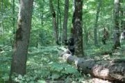 Пейнтбольный клуб Ватага в Краснодаре