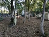Пейнтбольный клуб Застава в Краснодаре