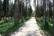 Лазертаг-пейнтбол-клуб Boom 