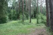 Лазертаг-пейнтбол-клуб Boom 