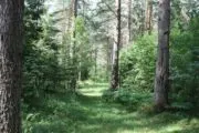 Лазертаг-пейнтбол-клуб Boom 
