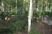 Лазертаг-пейнтбол-клуб Boom 