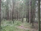 Лазертаг-пейнтбол-клуб Boom 