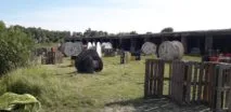 Лазертаг-пейнтбол-клуб Штурм 