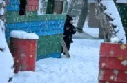 Лазертаг-пейнтбол-клуб Восторг в Челябинске