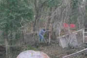Пейнтбольный клуб 23 застава в Геленджике