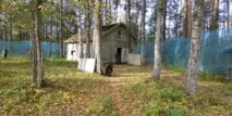 Пейнтбольный клуб Апокалипсис в Кирове